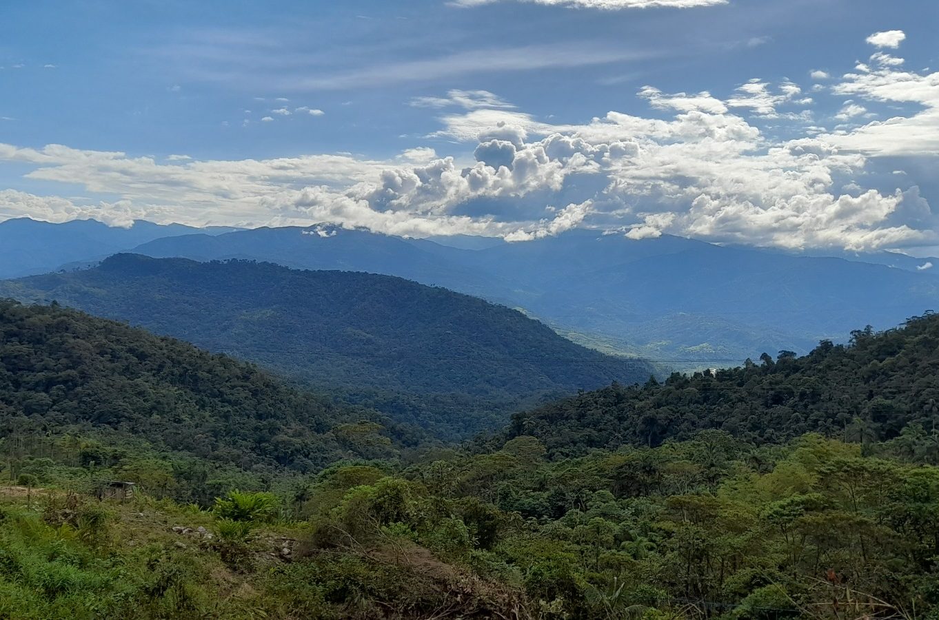 Landscape Putumayo